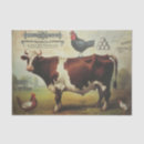 Search for cow and chicken tissue paper Rooster
