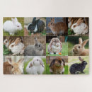Recherche de lapins puzzles Lapin mignon