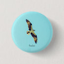 Search for ospreys buttons Bird