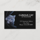 Recherche de minou noir cartes visite Animal