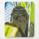 Search for black birds mousepads Leaves