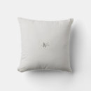 Search for for couch pillows Accent