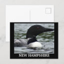 Search for loon Lake life