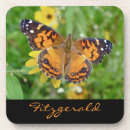 Recherche de dame dessous de verres Insecte