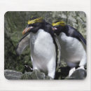 Search for macaroni electronics Wildlife
