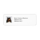 Search for sheltie return address labels Dogs