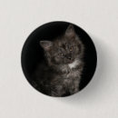 Search for kitty face buttons Cute
