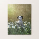 Recherche de dalmatien puzzles Chiot