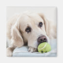 Recherche de extracteur magnets Mignon