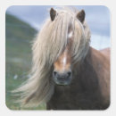 Search for manes stickers Pony