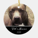 Recherche de pitbull ornements Animal de compagnie