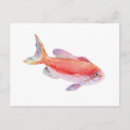Recherche de illustration scientifique cartes postales Vie marine