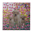 Search for labrador tiles Pet