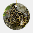 Search for burmese ornaments Pet