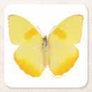 Recherche de photos papillons de dessous de verres Smithsonien