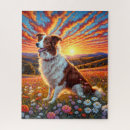 Recherche de chien border collie puzzles Canin