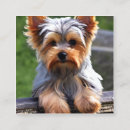 Recherche de yorkshire cartes visite Chien