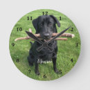 Search for laboratory clocks Teacher