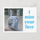 Recherche de visages cartes postales Animal