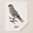 Search for american blankets Bird