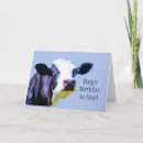 Search for funny cow jokes postcards Cows