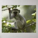 Recherche de reposer posters Nature