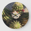 Recherche de fleur de cactus horloges Floral