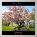 Recherche de cherry blossom posters Rose