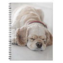 Search for cocker spaniel notebooks Animal