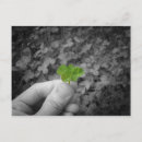 Recherche de vert chanceux cartes postales Girofle