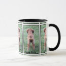 Search for akc mugs Cute