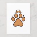 Recherche de cachette cartes postales Chat