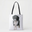 Search for aussie shepherd bags Puppy