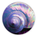 Search for seashell knobs and pulls Aqua