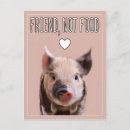 Recherche de vegan cartes postales Porc