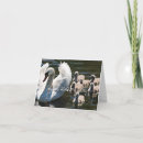 Search for bird mom cards Fun