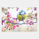 Recherche de jolis oiseaux papier cadeau Printemps