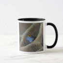 Search for fish head mugs Sea life