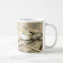 Search for kinglet mugs Golden crowned kinglet