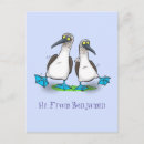 Search for booby postcards Boobies