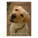 Recherche de blond photographie Dog