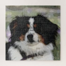 Search for australian shepherd puzzles Pet