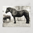 Recherche de percherons cartes postales Cheval