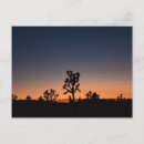 Search for purple tree postcards Orange