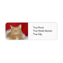 Search for orange tabby cat return address labels Ginger