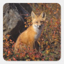 Search for omnivore stickers North america
