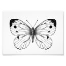 Search for vector butterfly posters Pattern