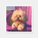 Recherche de shih tzu serviettes Chiot