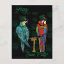 Search for party parrots postcards Parrot lovers