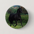 Search for moving picture buttons Horse